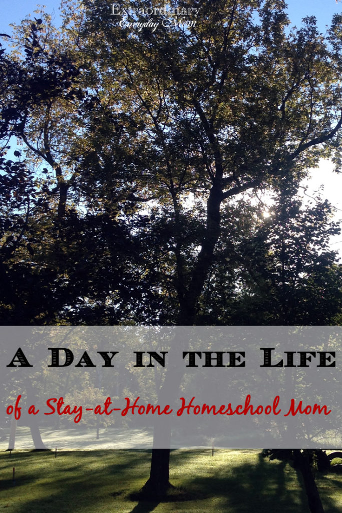 A Day in the Life of a Stay-at-Home Homeschool Mom