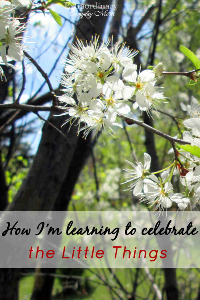 How I'm learning to celebrate the Little Things